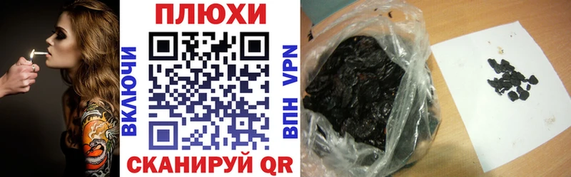 ГАШИШ Premium  дарк нет наркотические препараты  Судогда 