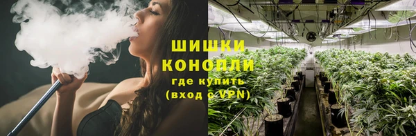 молекула духа Аркадак