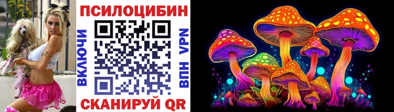 blacksprut ССЫЛКА  Судогда  это наркотические препараты  Псилоцибиновые грибы мухоморы 
